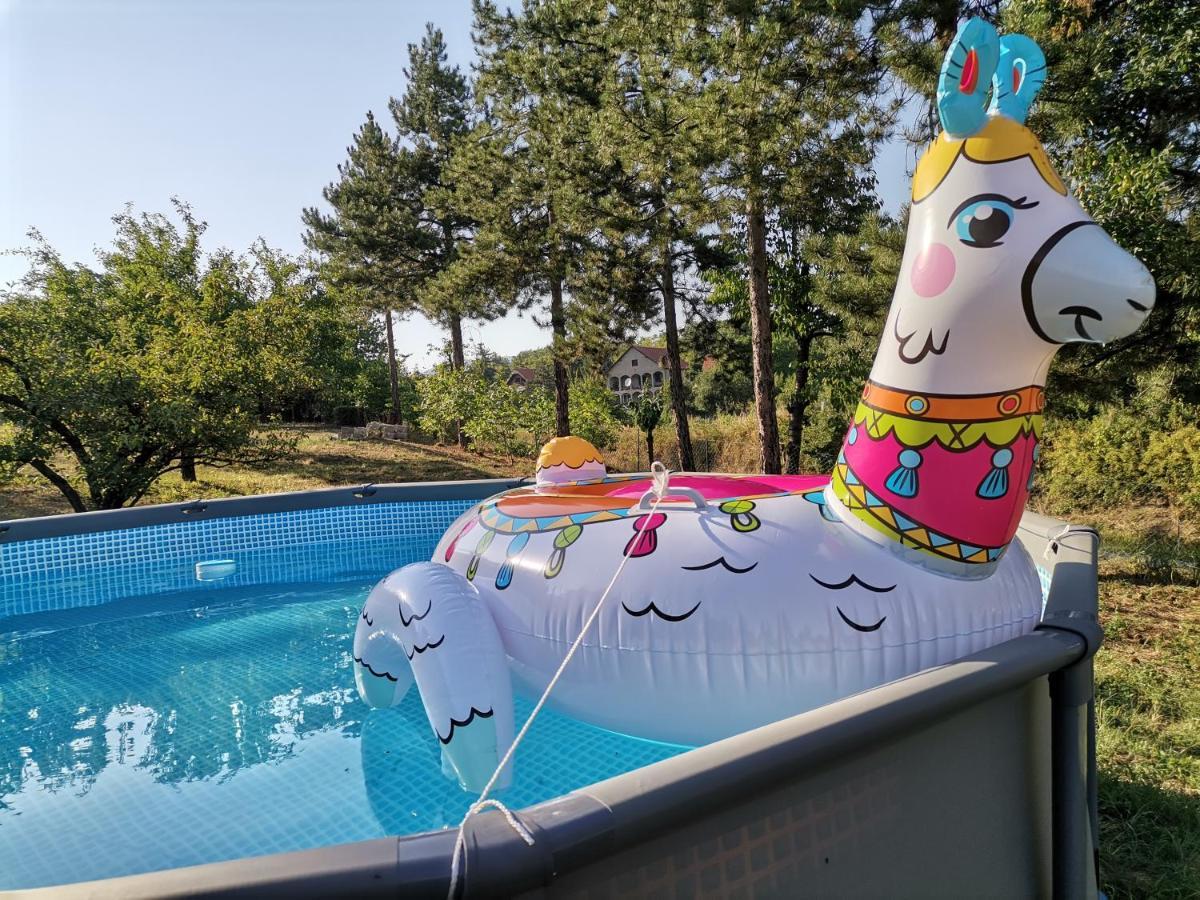 Borsko Jezero Villa Ngoại thất bức ảnh