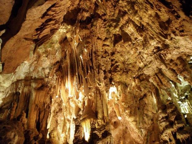 Borsko Jezero Villa Ngoại thất bức ảnh